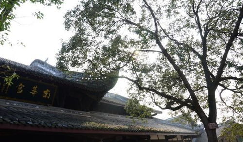 成都周邊隱藏一個4a級古鎮(zhèn),門票0元,在山水之間,正越來越火