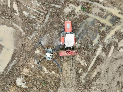 新時代中國調(diào)研行之看區(qū)域 中部篇 融媒一線 看,如此 接地氣 的科幻 農(nóng) 景